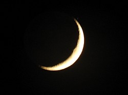 Crecent Moon