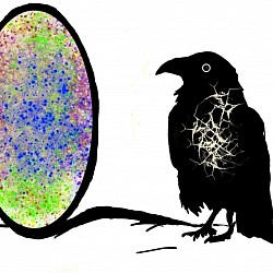 Raven X Portal