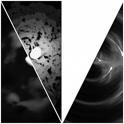 Moon Collab